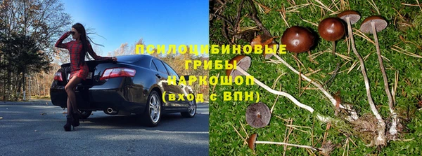 ГАЛЛЮЦИНОГЕННЫЕ ГРИБЫ Балахна