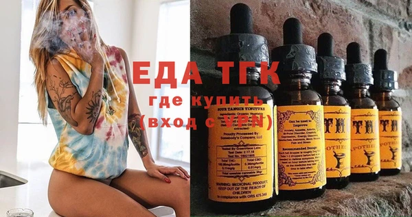 стаф Аркадак