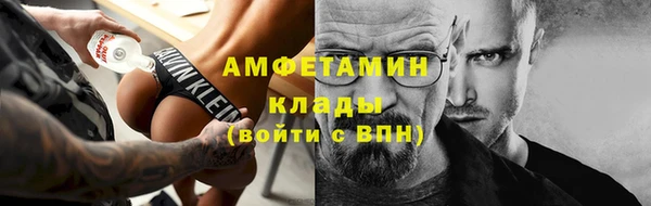 стаф Аркадак