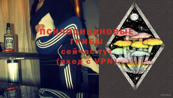 прущие крисы Арсеньев
