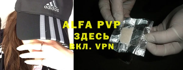 стаф Аркадак