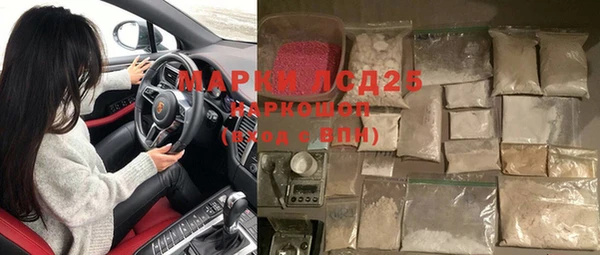 стаф Аркадак